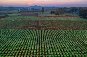 Agriculture Solar Services